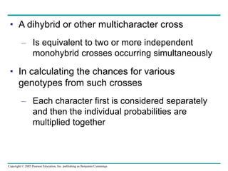 Copyright © 2005 Pearson Education, Inc. publishing as Benjamin Cummings
• A dihybrid or other multicharacter cross
– Is equivalent to two or more independent
monohybrid crosses occurring simultaneously
• In calculating the chances for various
genotypes from such crosses
– Each character first is considered separately
and then the individual probabilities are
multiplied together
 