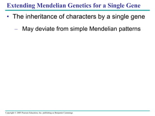 Copyright © 2005 Pearson Education, Inc. publishing as Benjamin Cummings
Extending Mendelian Genetics for a Single Gene
• The inheritance of characters by a single gene
– May deviate from simple Mendelian patterns
 