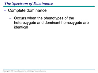 Copyright © 2005 Pearson Education, Inc. publishing as Benjamin Cummings
The Spectrum of Dominance
• Complete dominance
– Occurs when the phenotypes of the
heterozygote and dominant homozygote are
identical
 