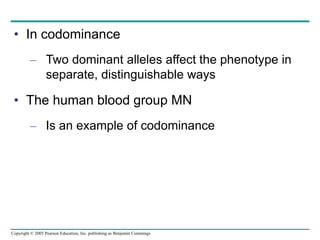 Copyright © 2005 Pearson Education, Inc. publishing as Benjamin Cummings
• In codominance
– Two dominant alleles affect the phenotype in
separate, distinguishable ways
• The human blood group MN
– Is an example of codominance
 