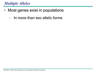Copyright © 2005 Pearson Education, Inc. publishing as Benjamin Cummings
Multiple Alleles
• Most genes exist in populations
– In more than two allelic forms
 