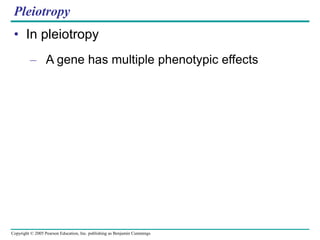 Copyright © 2005 Pearson Education, Inc. publishing as Benjamin Cummings
Pleiotropy
• In pleiotropy
– A gene has multiple phenotypic effects
 