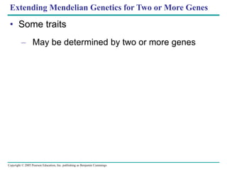 Copyright © 2005 Pearson Education, Inc. publishing as Benjamin Cummings
Extending Mendelian Genetics for Two or More Genes
• Some traits
– May be determined by two or more genes
 