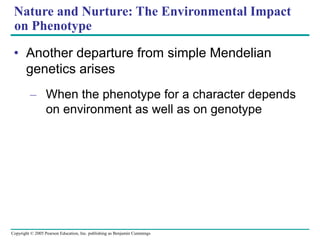 Copyright © 2005 Pearson Education, Inc. publishing as Benjamin Cummings
Nature and Nurture: The Environmental Impact
on Phenotype
• Another departure from simple Mendelian
genetics arises
– When the phenotype for a character depends
on environment as well as on genotype
 