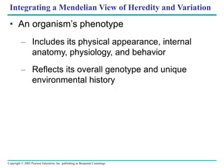 Copyright © 2005 Pearson Education, Inc. publishing as Benjamin Cummings
Integrating a Mendelian View of Heredity and Variation
• An organism’s phenotype
– Includes its physical appearance, internal
anatomy, physiology, and behavior
– Reflects its overall genotype and unique
environmental history
 