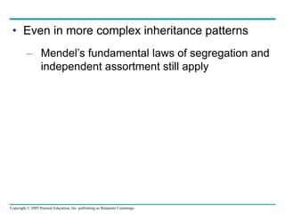Copyright © 2005 Pearson Education, Inc. publishing as Benjamin Cummings
• Even in more complex inheritance patterns
– Mendel’s fundamental laws of segregation and
independent assortment still apply
 