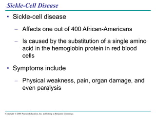 Copyright © 2005 Pearson Education, Inc. publishing as Benjamin Cummings
Sickle-Cell Disease
• Sickle-cell disease
– Affects one out of 400 African-Americans
– Is caused by the substitution of a single amino
acid in the hemoglobin protein in red blood
cells
• Symptoms include
– Physical weakness, pain, organ damage, and
even paralysis
 