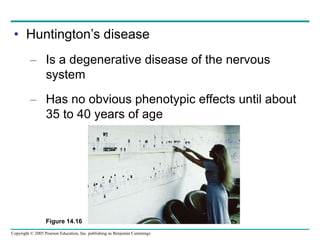 Copyright © 2005 Pearson Education, Inc. publishing as Benjamin Cummings
• Huntington’s disease
– Is a degenerative disease of the nervous
system
– Has no obvious phenotypic effects until about
35 to 40 years of age
Figure 14.16
 