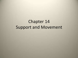 Chapter 14 Support and Movement 