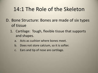 Bone Roles Chapter 14 Notes | PPTX