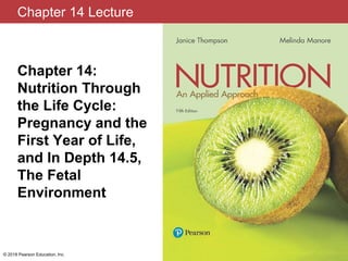 Chapter 14 Lecture
Chapter 14:
Nutrition Through
the Life Cycle:
Pregnancy and the
First Year of Life,
and In Depth 14.5,
The Fetal
Environment
© 2018 Pearson Education, Inc.
 