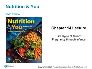 Nutrition & You
Sixth Edition
Chapter 14 Lecture
Life Cycle Nutrition:
Pregnancy through Infancy
Copyright © 2023 Pearson Education, Inc. All Rights Reserved
 
