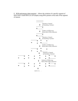 E. PCR (polymerase chain reaction) – Allows the isolation of a specific segment of
DNA from a small DNA (or cell sample) using DNA primers at the ends of the segment
of interest.
 