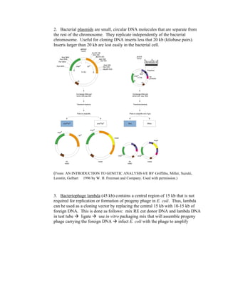 2. Bacterial plasmids are small, circular DNA molecules that are separate from
the rest of the chromosome. They replicate independently of the bacterial
chromosome. Useful for cloning DNA inserts less that 20 kb (kilobase pairs).
Inserts larger than 20 kb are lost easily in the bacterial cell.
(From: AN INTRODUCTION TO GENETIC ANALYSIS 6/E BY Griffiths, Miller, Suzuki,
Leontin, Gelbart  1996 by W. H. Freeman and Company. Used with permission.)
3. Bacteriophage lambda (45 kb) contains a central region of 15 kb that is not
required for replication or formation of progeny phage in E. coli. Thus, lambda
can be used as a cloning vector by replacing the central 15 kb with 10-15 kb of
foreign DNA. This is done as follows: mix RE cut donor DNA and lambda DNA
in test tube à ligate à use in vitro packaging mix that will assemble progeny
phage carrying the foreign DNA à infect E. coli with the phage to amplify
 