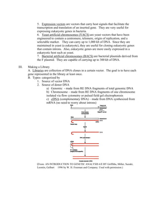 5. Expression vectors are vectors that carry host signals that facilitate the
transcription and translation of an inserted gene. They are very useful for
expressing eukaryotic genes in bacteria.
6. Yeast artificial chromosomes (YACS) are yeast vectors that have been
engineered to contain a centromere, telomere, origin of replication, and a
selectable marker. They can carry up to 1,000 kb of DNA. Since they are
maintained in yeast (a eukaryote), they are useful for cloning eukaryotic genes
that contain introns. Also, eukaryotic genes are more easily expressed in a
eukaryotic host such as yeast.
7. Bacterial artificial chromosomes (BACS) are bacterial plasmids derived from
the F plasmid. They are capable of carrying up to 300 kb of DNA.
III. Making a Library
A. Libraries are collection of DNA clones in a certain vector. The goal is to have each
gene represented in the library at least once.
B. Types- categorized by
1. Source of vector DNA
2. Source of donor DNA
a) Genomic - made from RE DNA fragments of total genomic DNA
b) Chromosome – made from RE DNA fragments of one chromosome
isolated via flow cytometry or pulsed field gel electrophoresis
c) cDNA (complementary DNA) – made from DNA synthesized from
mRNA (no need to worry about introns)
(From: AN INTRODUCTION TO GENETIC ANALYSIS 6/E BY Griffiths, Miller, Suzuki,
Leontin, Gelbart  1996 by W. H. Freeman and Company. Used with permission.)
 