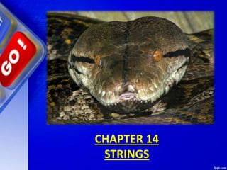 CHAPTER 14
STRINGS
 