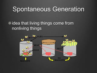 Holt Modern Biology Chapter 14 Vocabulary--History of Life | PPTX