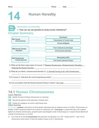 Chapter 14 worksheets | PDF