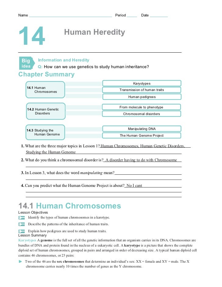 Chapter 14 Worksheets