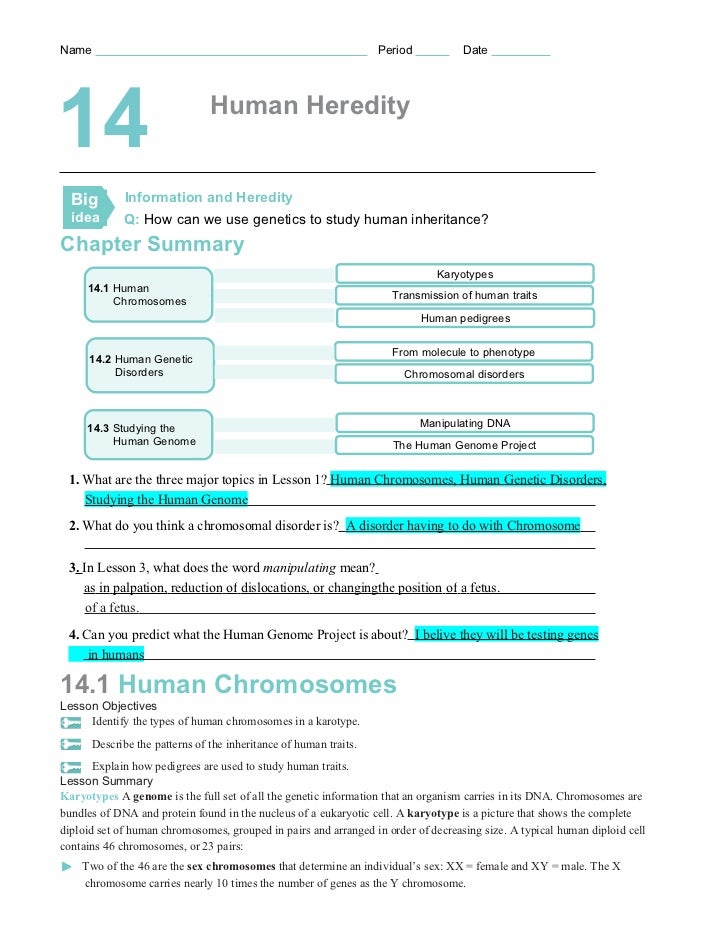 chromosomal-abnormalities-worksheet-answer-key-free-download-goodimg-co