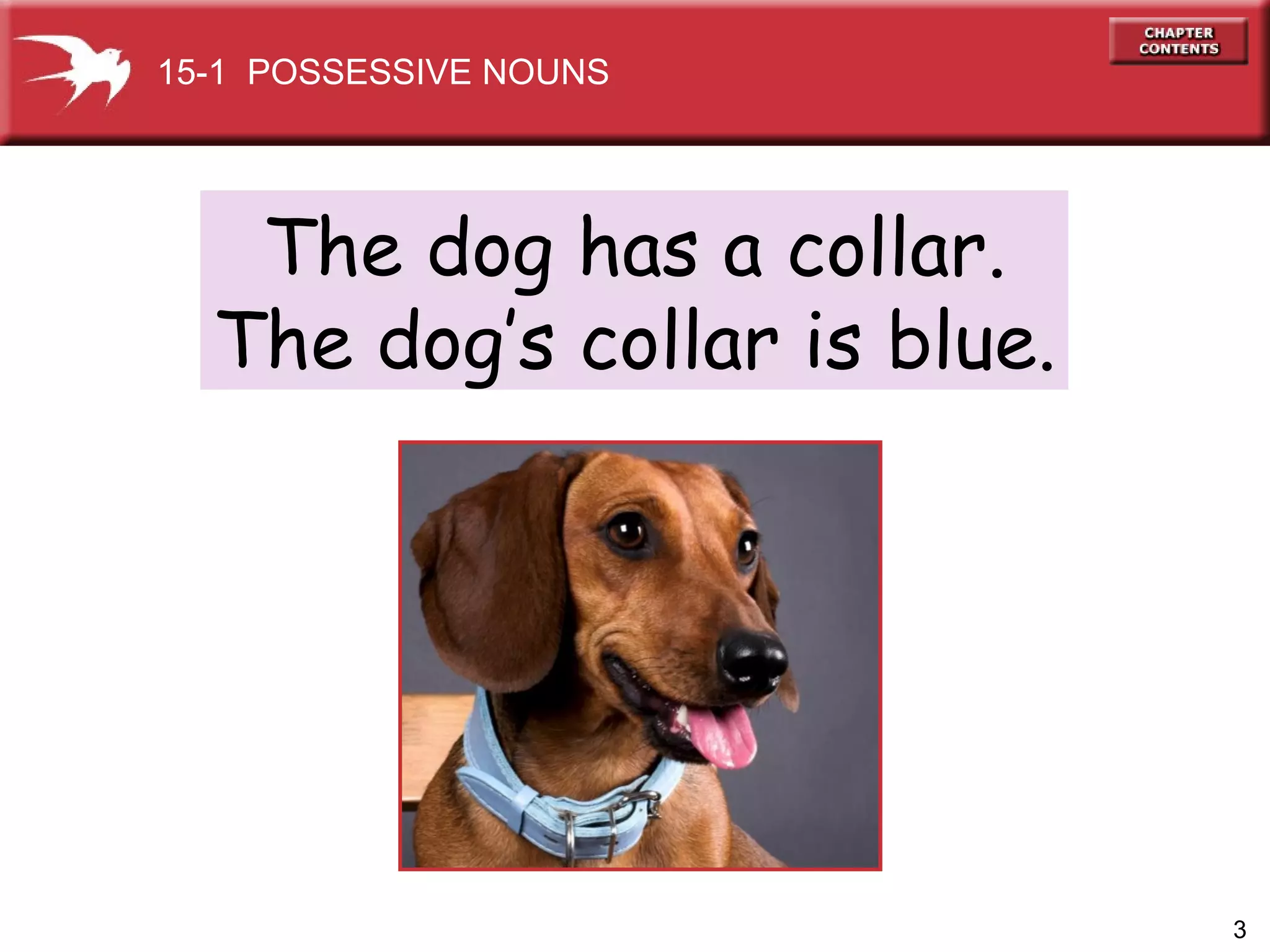 The dog has a collar. The dog’s collar is blue. 15-1  POSSESSIVE NOUNS 