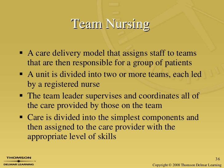 types of nursing care delivery systems essay care essay