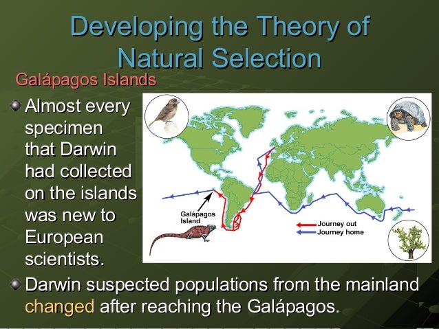 on darwins theory of natural selection A look at natural selection in action, including darwin's finches and industrial melanism. on darwins theory of natural selection A look at natural selection in action, including darwin's finches and industrial melanism.