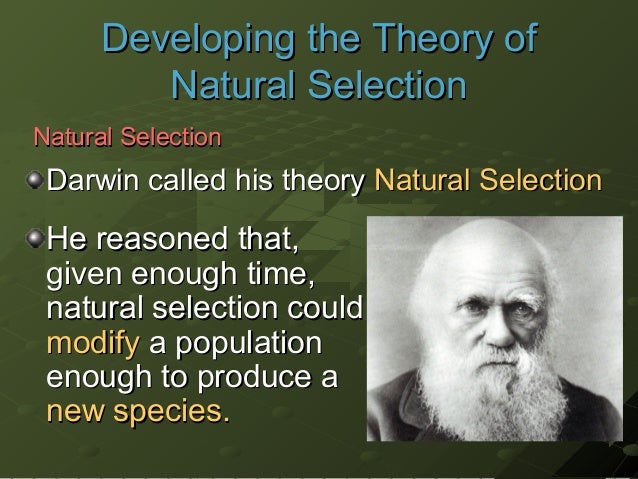 on darwins theory of natural selection A look at natural selection in action, including darwin's finches and industrial melanism. on darwins theory of natural selection A look at natural selection in action, including darwin's finches and industrial melanism.