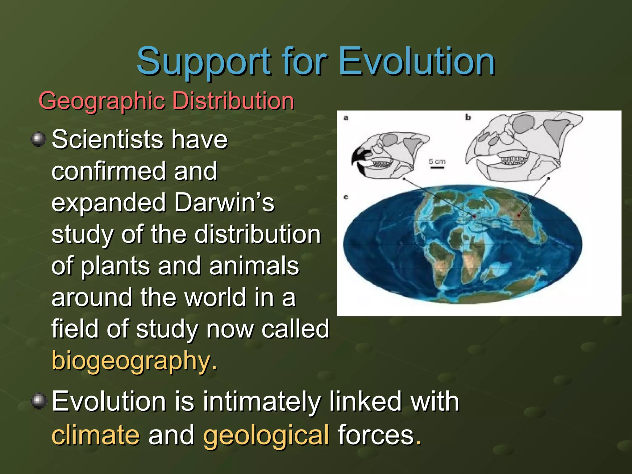 Scientists haveScientists have
confirmed andconfirmed and
expanded Darwinexpanded Darwin’s’s
study of the distributionstudy of the distribution
of plants and animalsof plants and animals
around the world in aaround the world in a
field of study now calledfield of study now called
biogeography.biogeography.
Evolution is intimately linked withEvolution is intimately linked with
climateclimate andand geologicalgeological forcesforces..
Geographic DistributionGeographic Distribution
Support for EvolutionSupport for Evolution
 