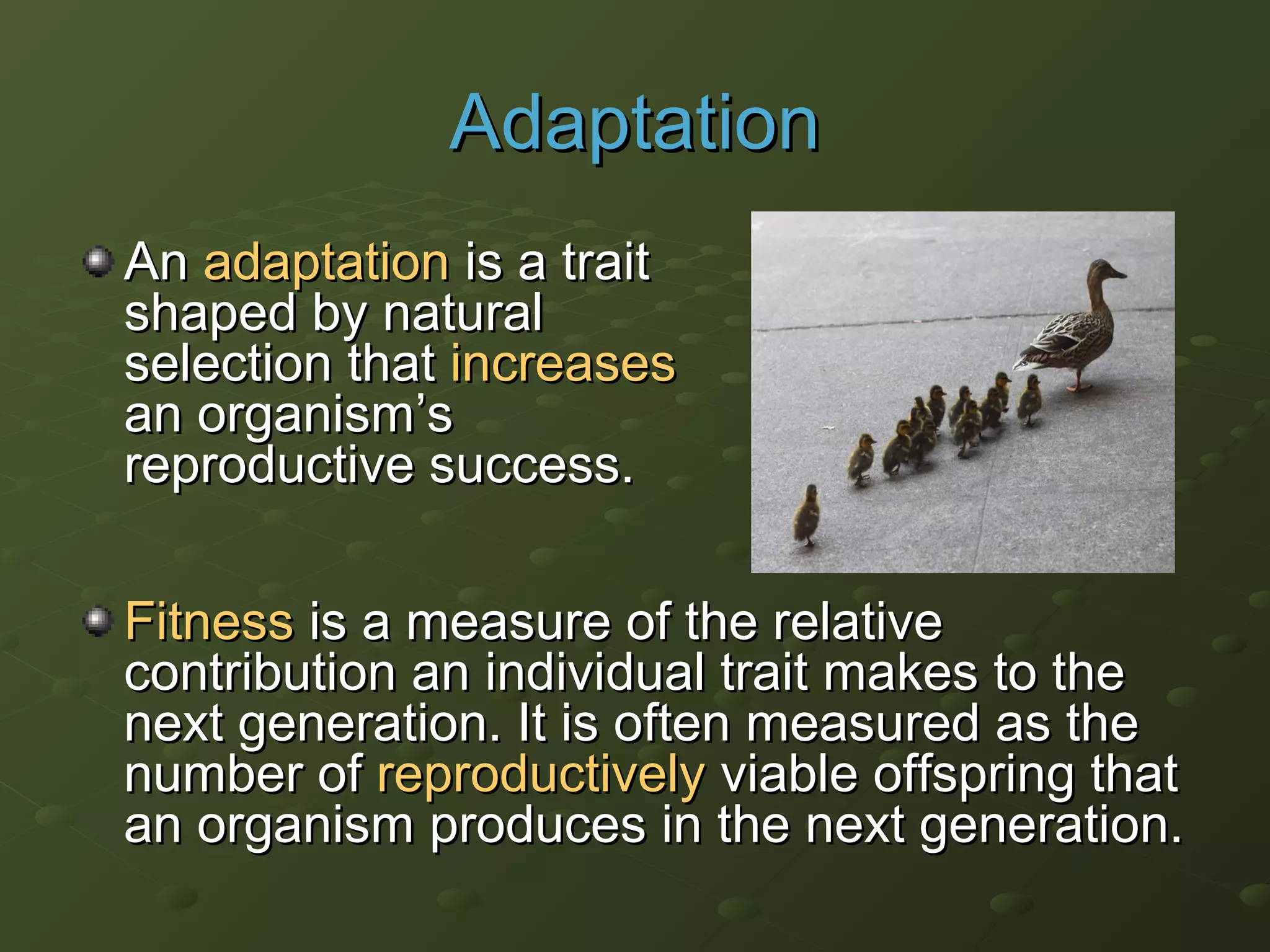 AdaptationAdaptation
AnAn adaptationadaptation is a traitis a trait
shaped by naturalshaped by natural
selection thatselection that increasesincreases
an organisman organism’s’s
reproductive success.reproductive success.
FitnessFitness is a measure of the relativeis a measure of the relative
contribution an individual trait makes to thecontribution an individual trait makes to the
next generation. It is often measured as thenext generation. It is often measured as the
number ofnumber of reproductivelyreproductively viable offspring thatviable offspring that
an organism produces in the next generation.an organism produces in the next generation.
 