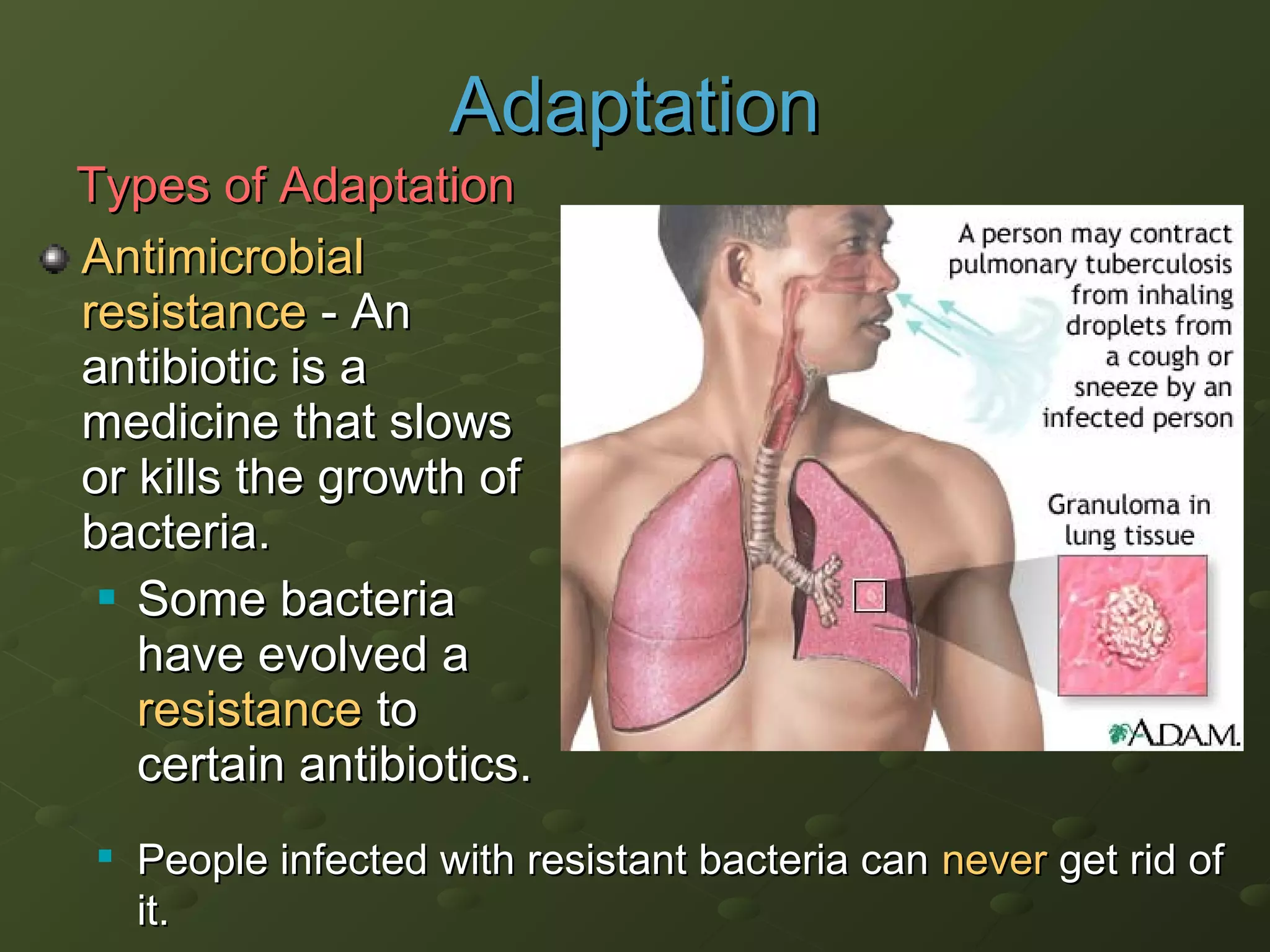 AntimicrobialAntimicrobial
resistanceresistance - An- An
antibiotic is aantibiotic is a
medicine that slowsmedicine that slows
or kills the growth ofor kills the growth of
bacteria.bacteria.
 Some bacteriaSome bacteria
have evolved ahave evolved a
resistanceresistance toto
certain antibiotics.certain antibiotics.

People infected with resistant bacteria canPeople infected with resistant bacteria can nevernever get rid ofget rid of
it.it.
AdaptationAdaptation
Types of AdaptationTypes of Adaptation
 