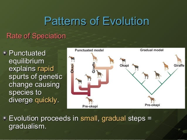 Chapter 15.3 shaping evolutionary theory