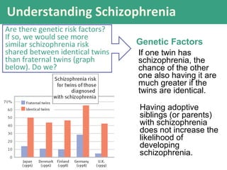 Understanding Schizophrenia
Are there genetic risk factors?
If so, we would see more
similar schizophrenia risk
shared between identical twins
than fraternal twins (graph
below). Do we?
Having adoptive
siblings (or parents)
with schizophrenia
does not increase the
likelihood of
developing
schizophrenia.
Genetic Factors
If one twin has
schizophrenia, the
chance of the other
one also having it are
much greater if the
twins are identical.
 