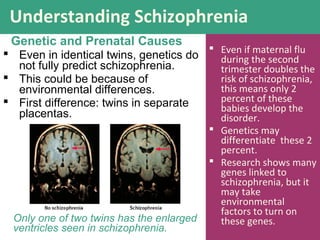  Even in identical twins, genetics do
not fully predict schizophrenia.
 This could be because of
environmental differences.
 First difference: twins in separate
placentas.
Genetic and Prenatal Causes
Only one of two twins has the enlarged
ventricles seen in schizophrenia.
 Even if maternal flu
during the second
trimester doubles the
risk of schizophrenia,
this means only 2
percent of these
babies develop the
disorder.
 Genetics may
differentiate these 2
percent.
 Research shows many
genes linked to
schizophrenia, but it
may take
environmental
factors to turn on
these genes.
Understanding Schizophrenia
 