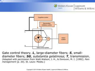 Copyright © 2015 Wolters Kluwer Health | Lippincott Williams & Wilkins
Gate control theory. L, large-diameter fibers; S, small-
diameter fibers; SG, substantia gelatinosa; T, transmission.
(Adapted with permission from Watt-Watson, J. H., & Donovan, M. I. [1992]. Pain
management [p. 20]. St. Louis: Mosby.)
 