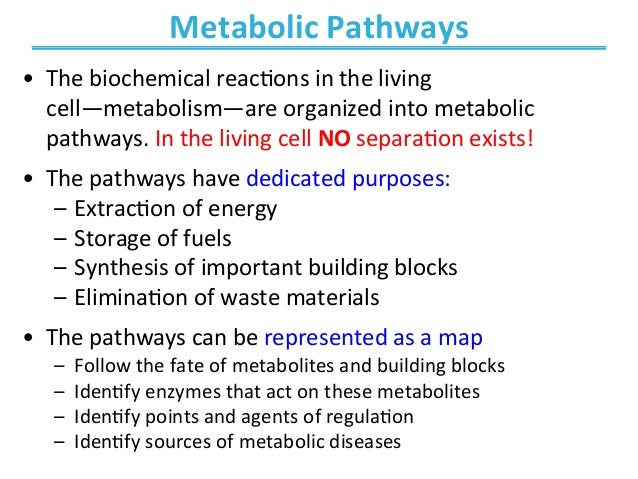 biosemiotic medicine healing in biosemiotic medicine healing in