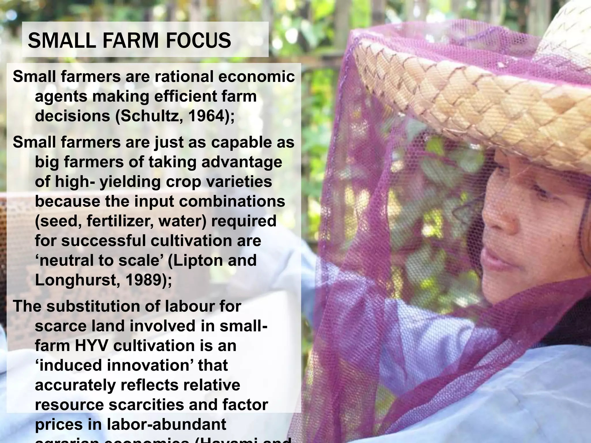 SMALL FARM FOCUS
Small farmers are rational economic
agents making efficient farm
decisions (Schultz, 1964);
Small farmers are just as capable as
big farmers of taking advantage
of high- yielding crop varieties
because the input combinations
(seed, fertilizer, water) required
for successful cultivation are
‘neutral to scale’ (Lipton and
Longhurst, 1989);
The substitution of labour for
scarce land involved in small-
farm HYV cultivation is an
‘induced innovation’ that
accurately reflects relative
resource scarcities and factor
prices in labor-abundant
 