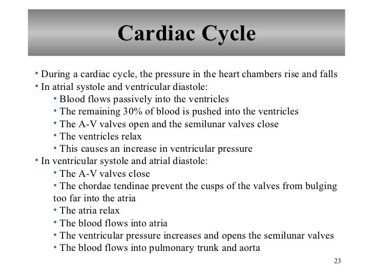 Chapter 15 Cardiovascular System
