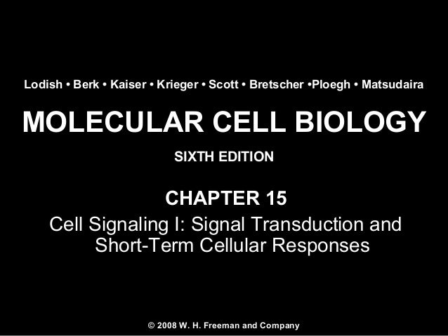 Molecular Cell Biology Lodish 6th.ppt Chapter 15 cell signaling i…