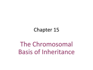 Chapter 15
The Chromosomal
Basis of Inheritance
 