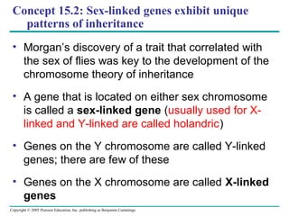 Copyright © 2005 Pearson Education, Inc. publishing as Benjamin Cummings
Concept 15.2: Sex-linked genes exhibit unique
patterns of inheritance
• Morgan’s discovery of a trait that correlated with
the sex of flies was key to the development of the
chromosome theory of inheritance
• A gene that is located on either sex chromosome
is called a sex-linked gene (usually used for X-
linked and Y-linked are called holandric)
• Genes on the Y chromosome are called Y-linked
genes; there are few of these
• Genes on the X chromosome are called X-linked
genes
 