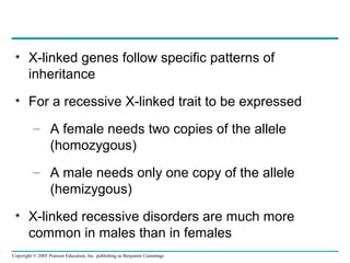 Copyright © 2005 Pearson Education, Inc. publishing as Benjamin Cummings
• X-linked genes follow specific patterns of
inheritance
• For a recessive X-linked trait to be expressed
– A female needs two copies of the allele
(homozygous)
– A male needs only one copy of the allele
(hemizygous)
• X-linked recessive disorders are much more
common in males than in females
 