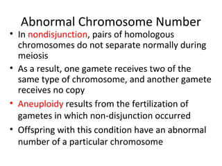 Abnormal Chromosome Number
• In nondisjunction, pairs of homologous
chromosomes do not separate normally during
meiosis
• As a result, one gamete receives two of the
same type of chromosome, and another gamete
receives no copy
• Aneuploidy results from the fertilization of
gametes in which non-disjunction occurred
• Offspring with this condition have an abnormal
number of a particular chromosome
 