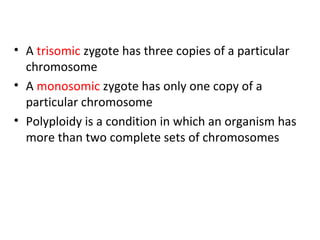 • A trisomic zygote has three copies of a particular
chromosome
• A monosomic zygote has only one copy of a
particular chromosome
• Polyploidy is a condition in which an organism has
more than two complete sets of chromosomes
 