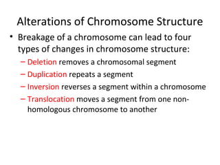 Alterations of Chromosome Structure
• Breakage of a chromosome can lead to four
types of changes in chromosome structure:
– Deletion removes a chromosomal segment
– Duplication repeats a segment
– Inversion reverses a segment within a chromosome
– Translocation moves a segment from one non-
homologous chromosome to another
 