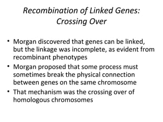 Recombination of Linked Genes:
Crossing Over
• Morgan discovered that genes can be linked,
but the linkage was incomplete, as evident from
recombinant phenotypes
• Morgan proposed that some process must
sometimes break the physical connection
between genes on the same chromosome
• That mechanism was the crossing over of
homologous chromosomes
 