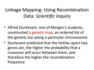 Linkage Mapping: Using Recombination
Data: Scientific Inquiry
• Alfred Sturtevant, one of Morgan’s students,
constructed a genetic map, an ordered list of
the genetic loci along a particular chromosome
• Sturtevant predicted that the farther apart two
genes are, the higher the probability that a
crossover will occur between them, and
therefore the higher the recombination
frequency
 