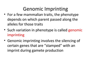 Genomic Imprinting
• For a few mammalian traits, the phenotype
depends on which parent passed along the
alleles for those traits
• Such variation in phenotype is called genomic
imprinting
• Genomic imprinting involves the silencing of
certain genes that are “stamped” with an
imprint during gamete production
 