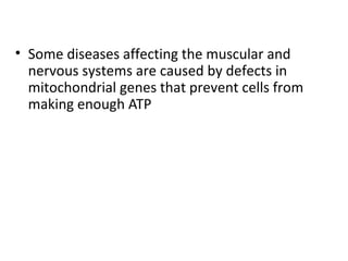 • Some diseases affecting the muscular and
nervous systems are caused by defects in
mitochondrial genes that prevent cells from
making enough ATP
 