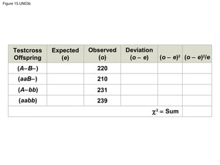 Figure 15.UN03b
Testcross
Offspring
Expected
(e)
Observed
(o)
Deviation
(o − e) (o − e)2
(o − e)2
/e
(A−B−)
(aaB−)
(A−bb)
(aabb)
220
210
231
239
χ2
= Sum
 